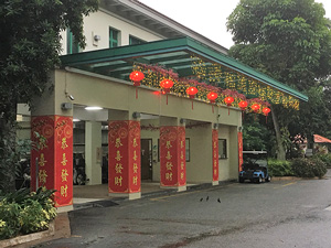 Chinese New Year Decoration