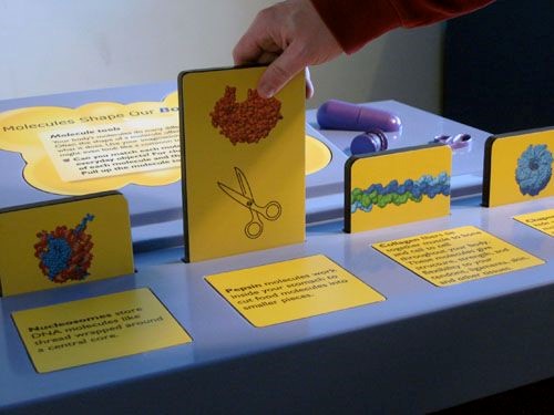 Interactive Display